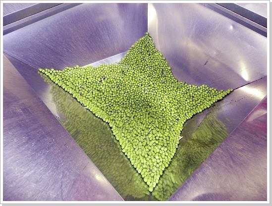 0359_sizilien_2012 (354).jpg